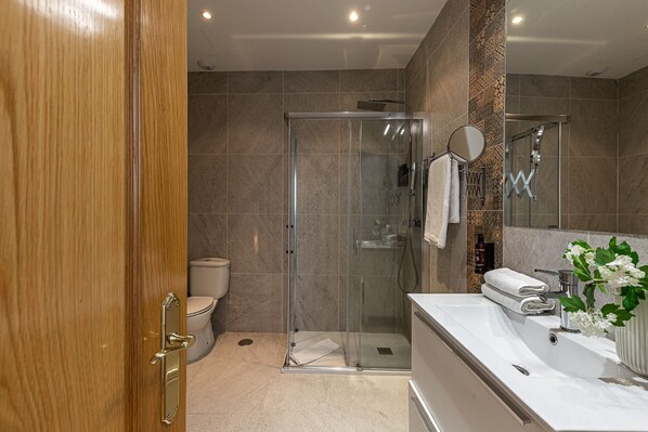 Shower, hair dryer, towels