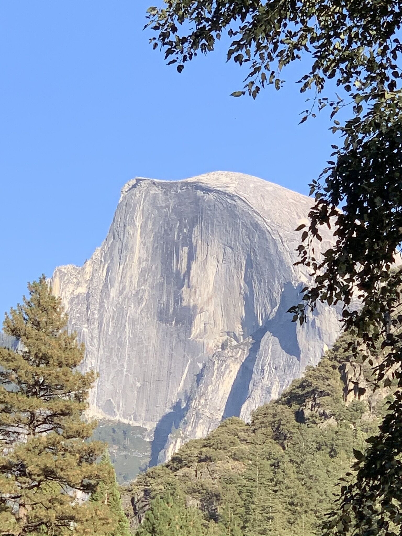 A large, prominent mountain with a flat top, surrounded by trees and clear blue sky.