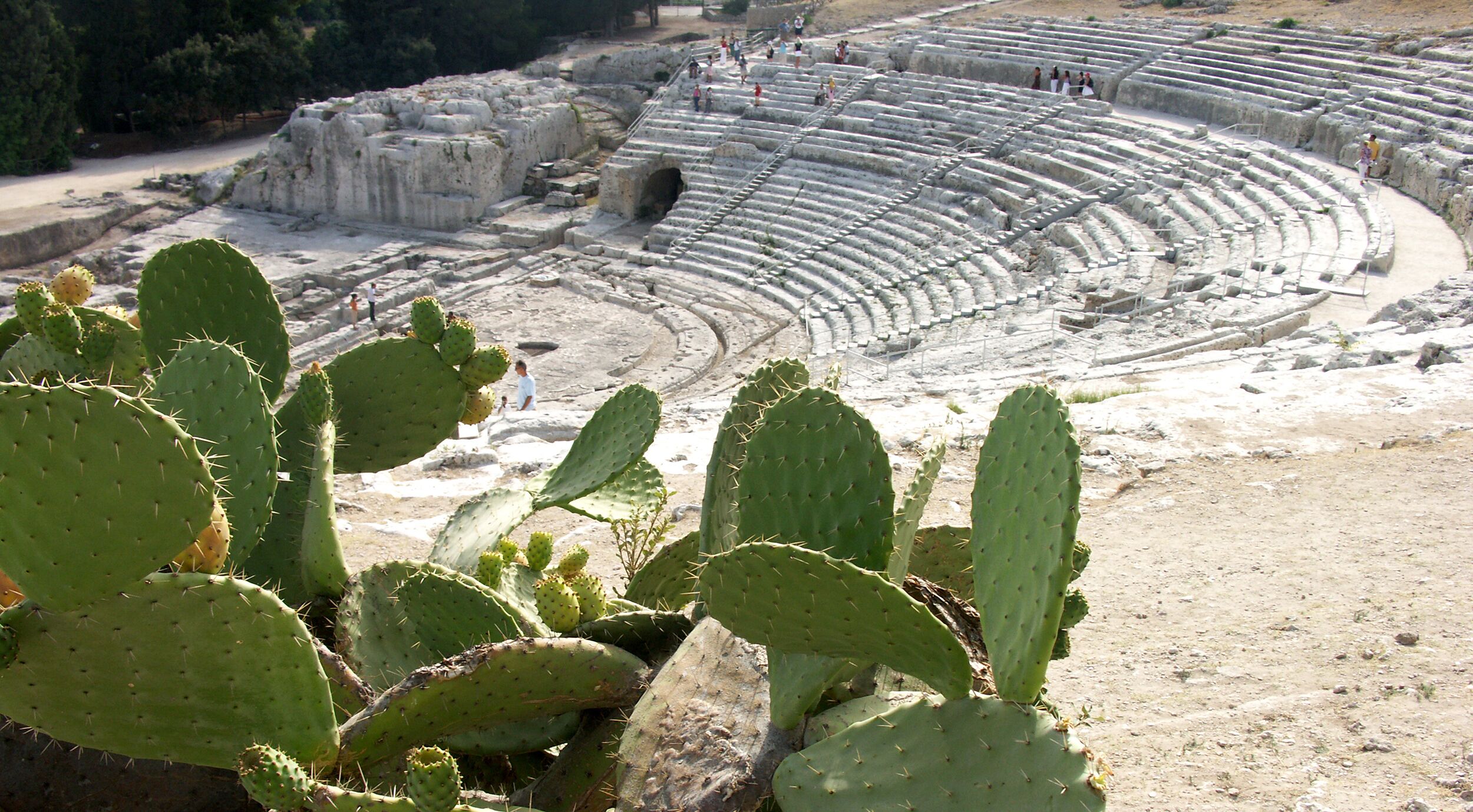 An ancient amphitheater with tiered seating and cactus plants in the foreground.