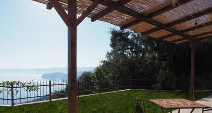 Studio for nature lovers