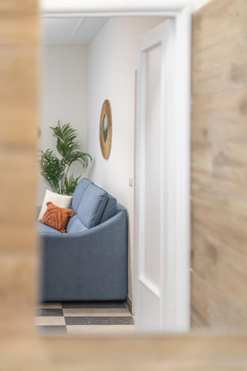 A cozy living room with a blue sofa, a potted plant, and a decorative mirror on the wall.