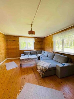 Smart-TV, Kamin, Videospiele, DVD-Player