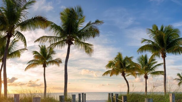 A wooden boardwalk leading to a beach with palm trees. - The Crown Jewel of La Brisa 2 bdrm Monthly Spectacular ocean views. (Key West)