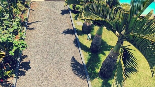 Een pad omzoomd met palmbomen en een bloembed met verschillende planten.