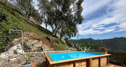 The Colletto degli Ulivi - a terrace overlooking the sea and the hills of Versilia