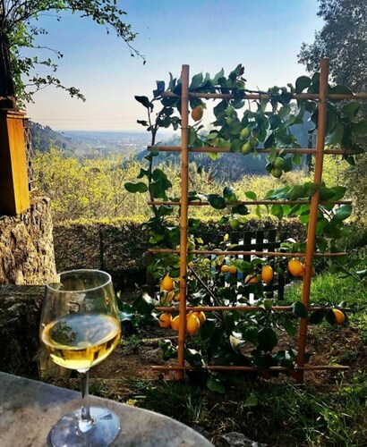 The Colletto degli Ulivi - a terrace overlooking the sea and the hills of Versilia
