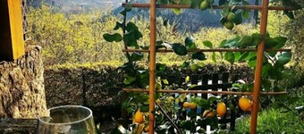 The Colletto degli Ulivi - a terrace overlooking the sea and the hills of Versilia