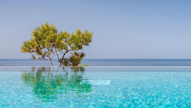A clear blue pool with a tree in the center. - Terra Lucis Mountain Residences Mare Villa (Zakynthos)