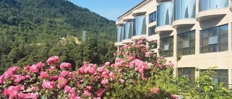 A hotel with a modern architectural design, featuring large windows and balconies.