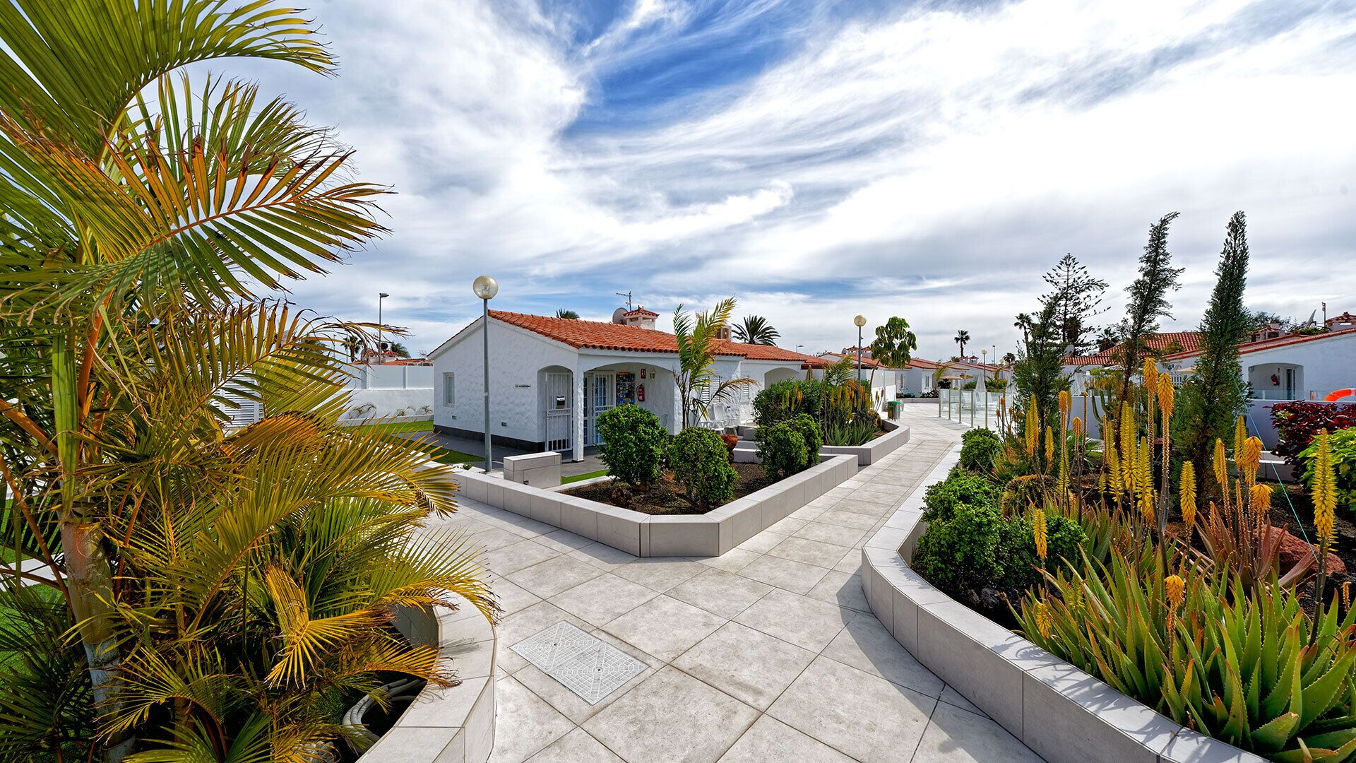 Un barrio residencial con casas blancas, un sendero pavimentado y diversas plantas.