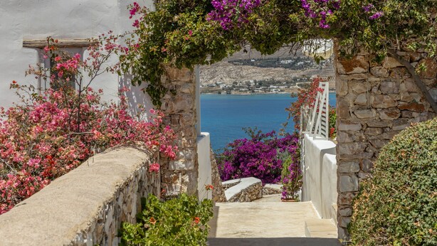 Un escalier en pierre menant à un point de vue panoramique sur la mer, entouré de bougainvilliers en fleurs et d’un bâtiment blanc.