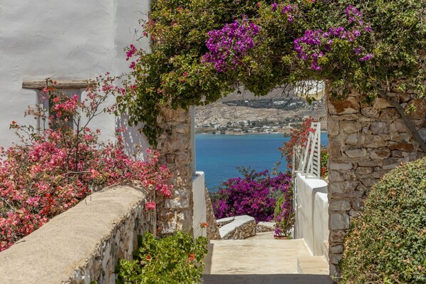 Property grounds - Naousa Bay Views with pool - Villa Caroline (Naousa)