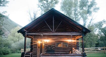 "Creekside Cottage" w/ Rustic Cabin (Sleeps 25)