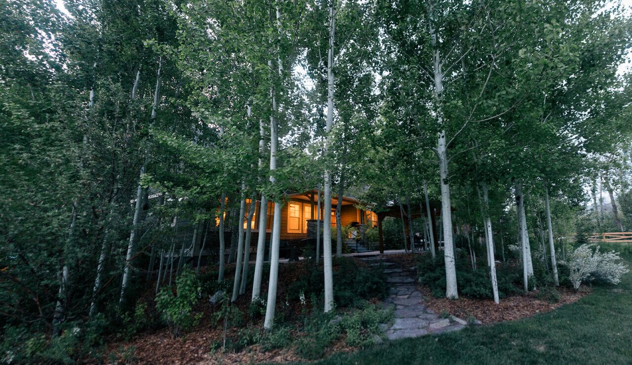 Overnattingsstedets uteområder