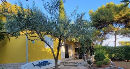 Quaint Hvar Beach house on the Sea in Jelsa