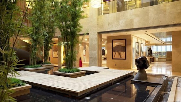 Un espacio interior amplio con piso reflectante, plataformas de madera y plantas en macetas.