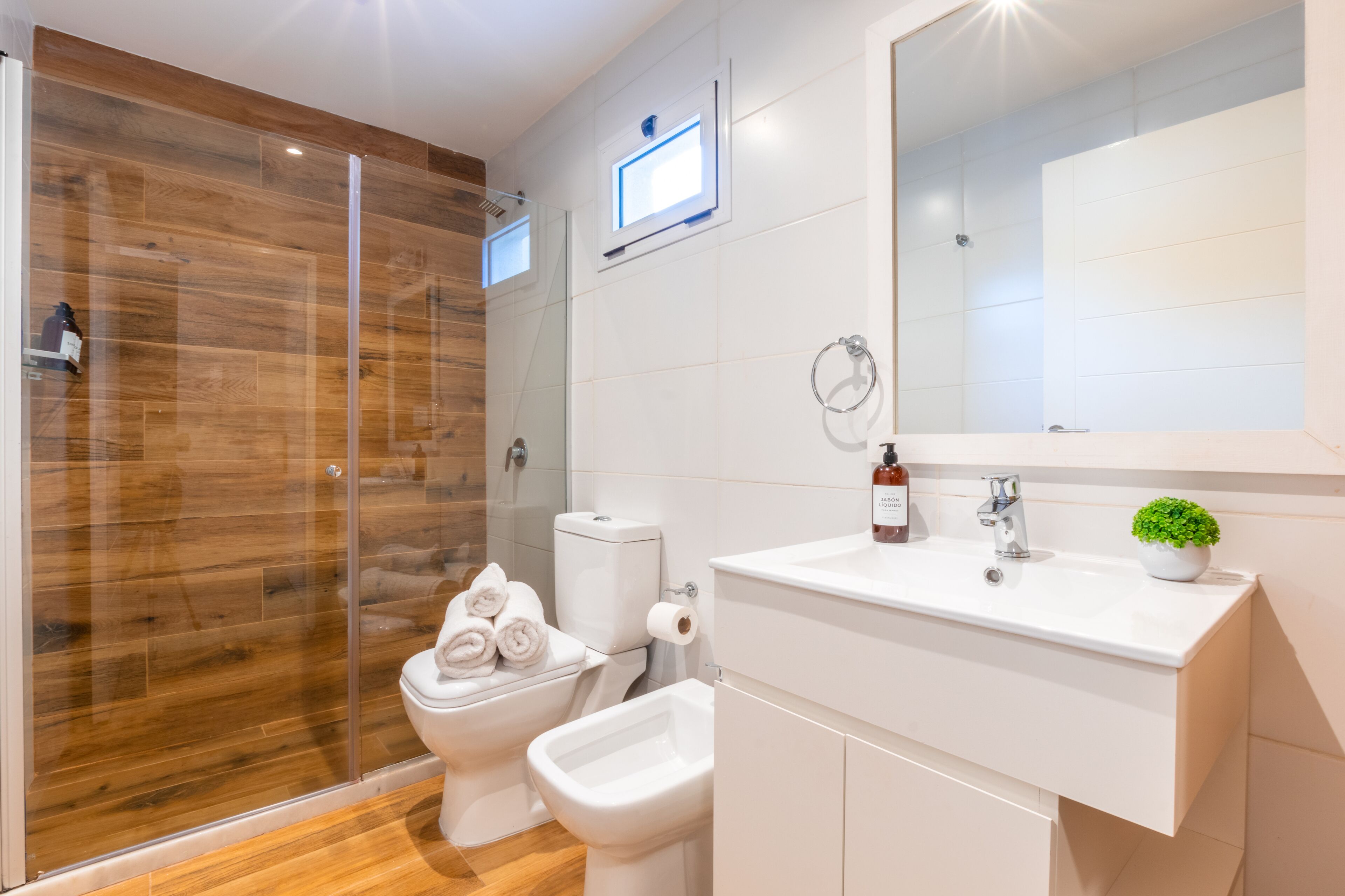 Ducha, cabezal de ducha tipo lluvia, secador de pelo, bidet