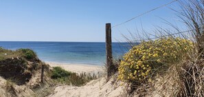 Ein Sandstrand mit Holzzaun und gelb blühenden Sträuchern.
