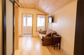 Smart-TV, Kamin