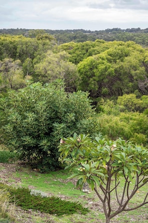 Paesaggio naturale con vegetazione verde intensa e un albero in primo piano.