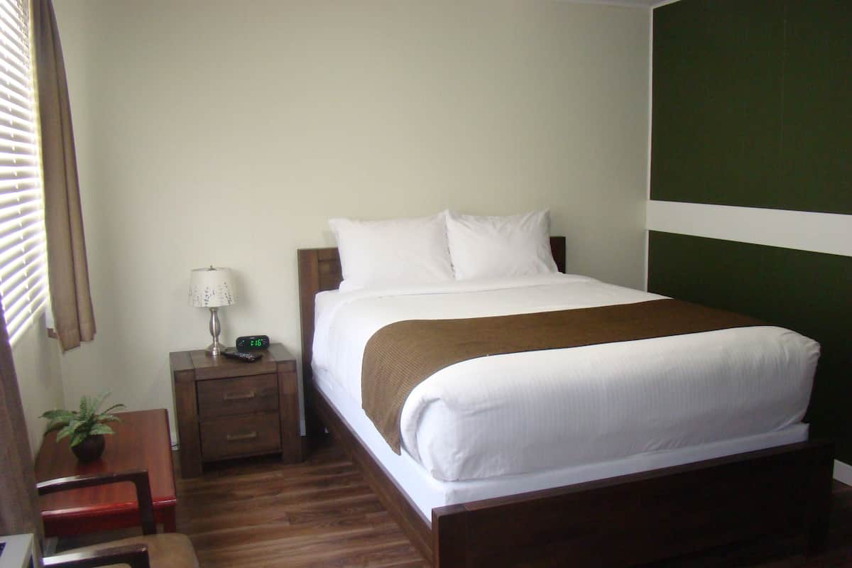 Quarto de hotel com uma cama de solteiro, mesa de cabeceira com abajur e relógio, uma cadeira de madeira e uma pequena mesa com uma planta.