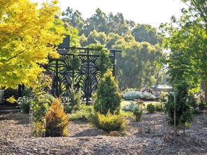 A garden with a pergola structure, various plants, and a backdrop of trees.