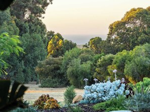 Un giardino con diverse piante e alberi.