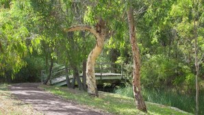 A paved path with a wooden bridge in a wooded area. - Villa on the Cape: Relaxed Hideaway near Town (Dunsborough)
