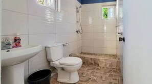 Dusche, Handtücher, Seife, Toilettenpapier