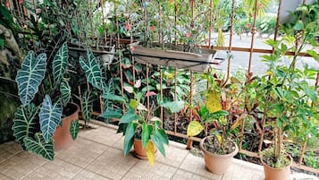 Jardines del alojamiento