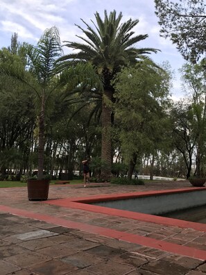 Overnattingsstedets uteområder