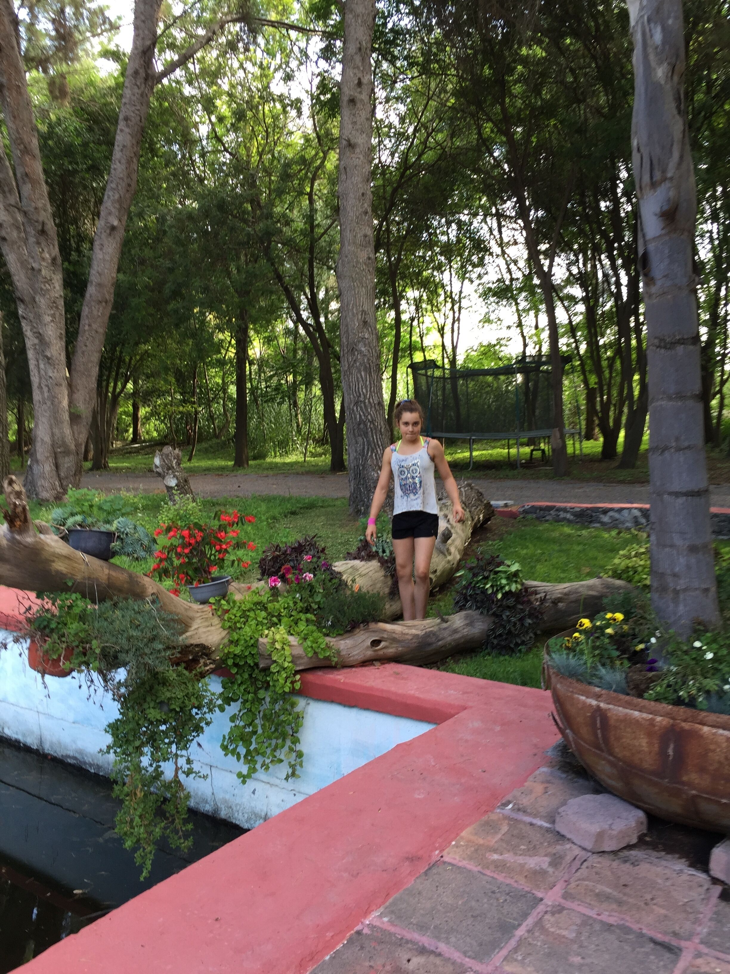 Terrain de l’hébergement 