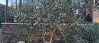 Charming villa with pool and garden. Isle sur la Sorgue