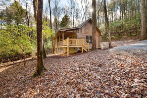 Exterior - Trail Side Retreat, great cabin for small family vacation, honeymoon, or peacefu (Blue Ridge)