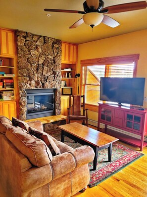 Smart TV, fireplace, books, video library