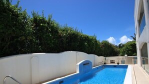 Ein Swimmingpool mit einer Metallleiter, umgeben von einer weißen Mauer und üppiger Bepflanzung.