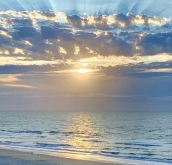 Sun loungers, beach towels