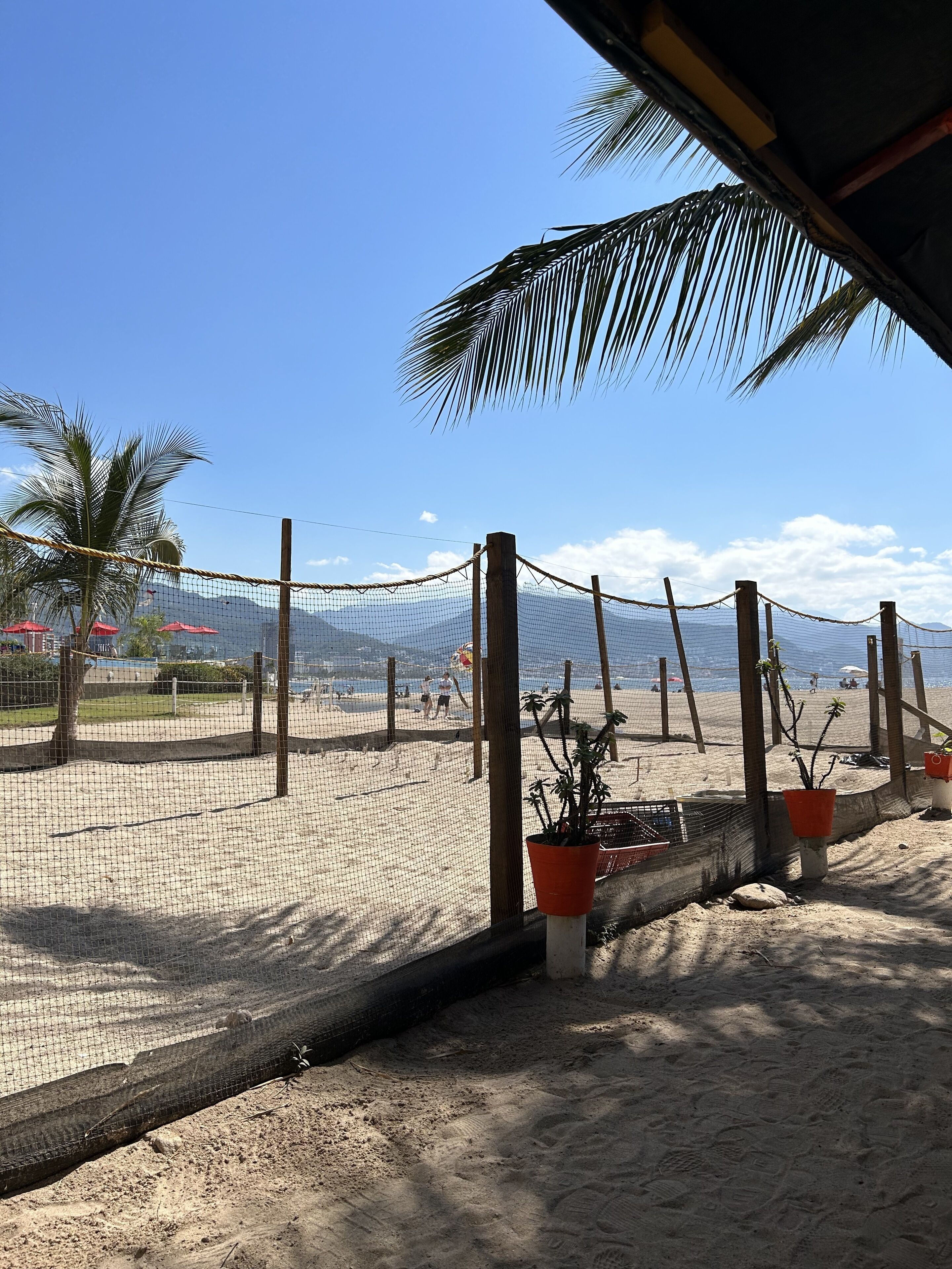 Chaises longues, serviettes de plage