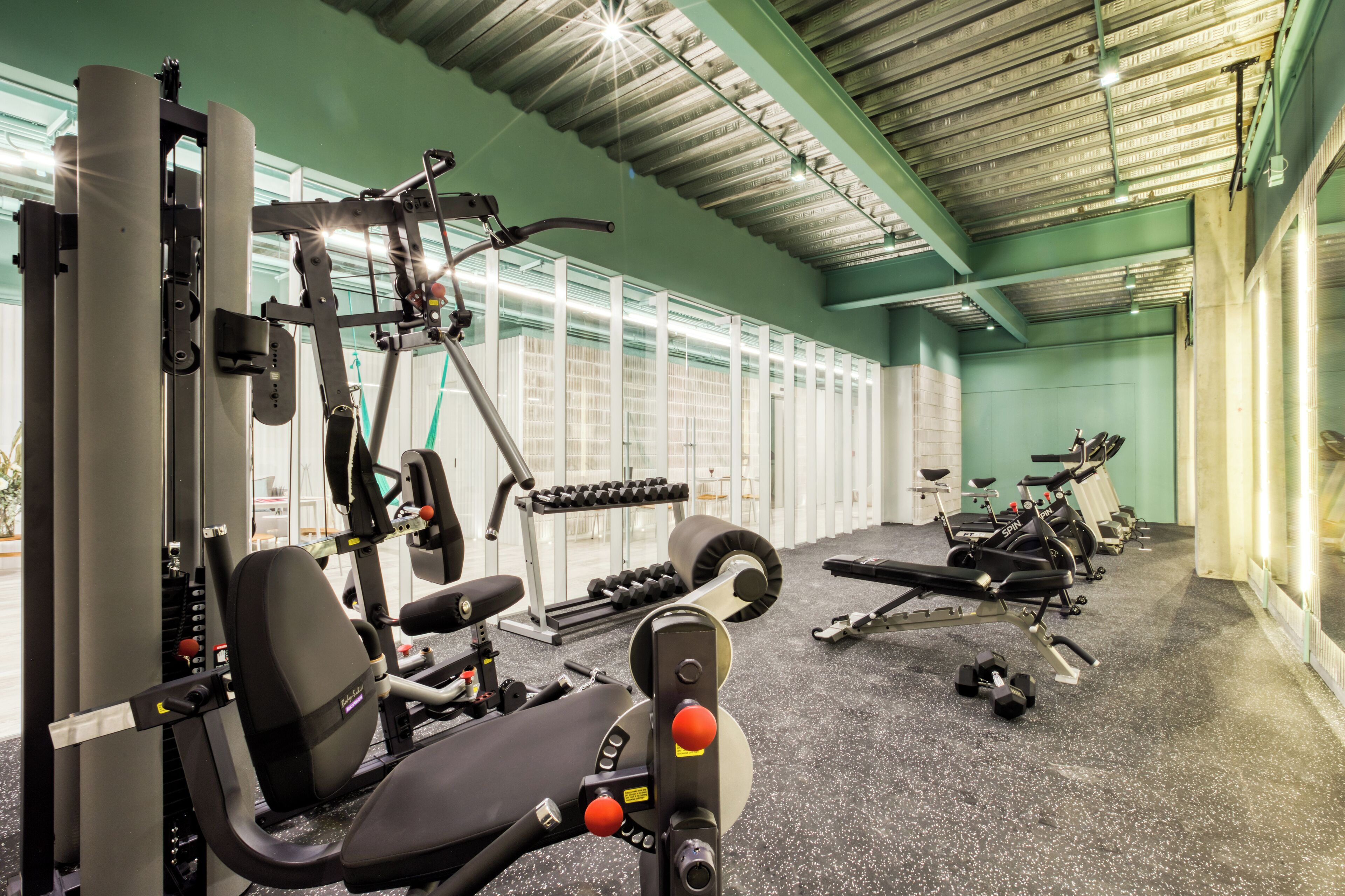 Un gimnasio con diversos equipos de ejercicio, incluyendo máquinas de pesas y mancuernas.