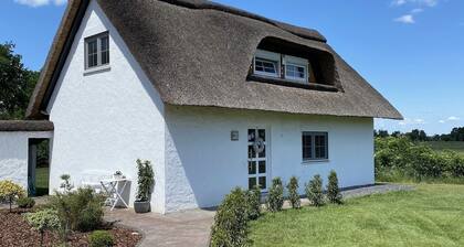 Thatched cottage with sauna (incl.), terrace, garden in Worpswede