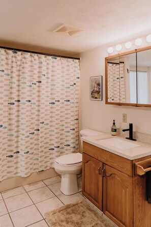 Hair dryer, towels, soap, shampoo