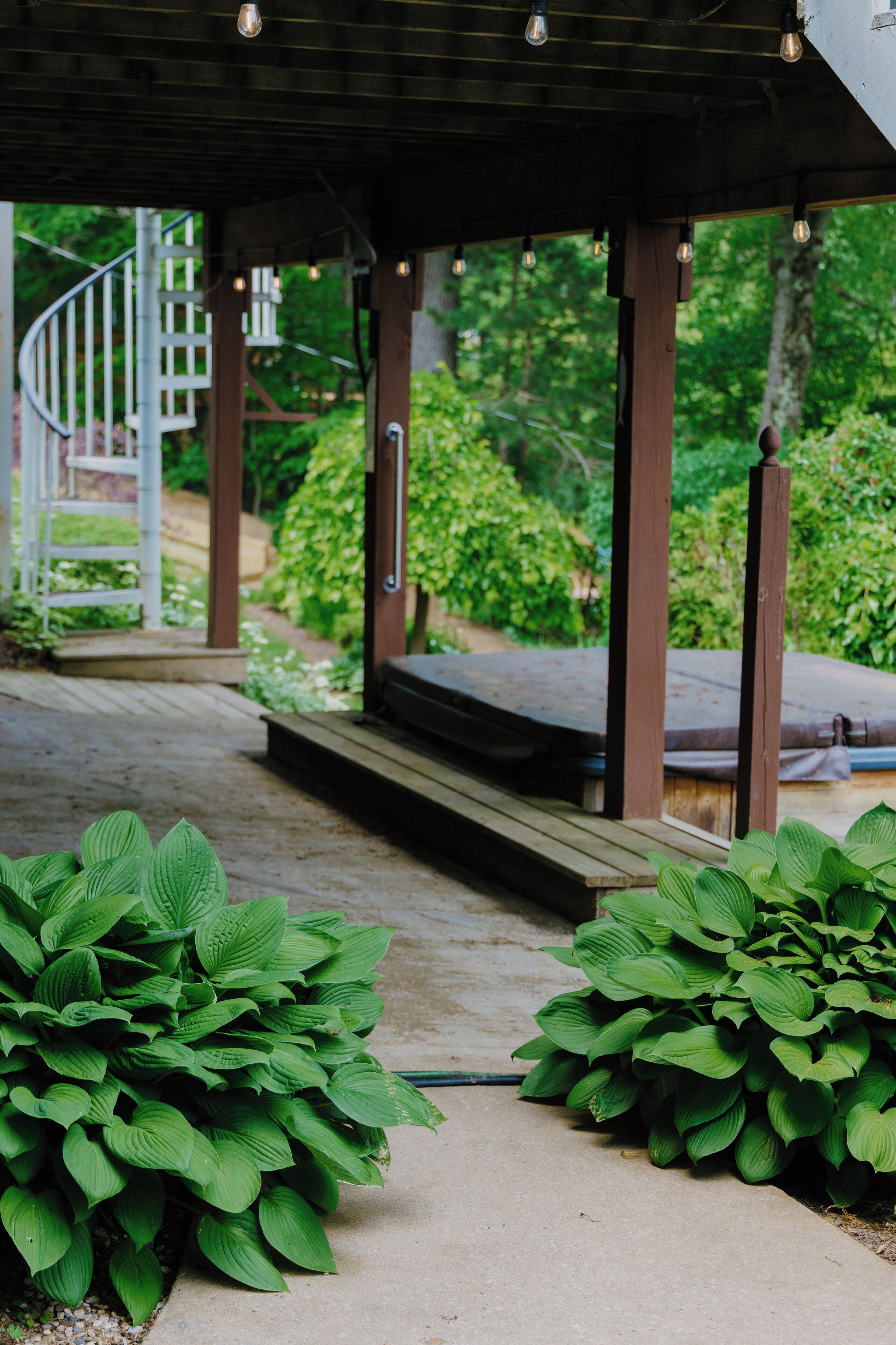A covered outdoor area with a wooden deck, green plants, and a staircase leading to a white door.