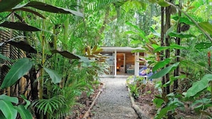 A pathway leading to a wooden structure surrounded by dense tropical foliage. - Mini Up House · Romantic Caribbean Escape for 2 (Puerto Viejo de Talamanca)