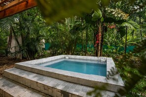 Piscina rectangular con escalones de acceso, rodeada de exuberante vegetación tropical.