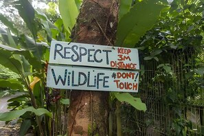 A sign on a tree with messages about respecting wildlife and keeping a distance of 3 meters.