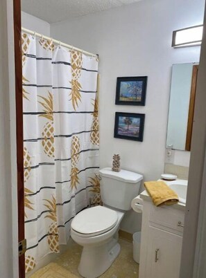 Bathroom - Quaint home 10 mins from Airport 20 to attractions (North Charleston)