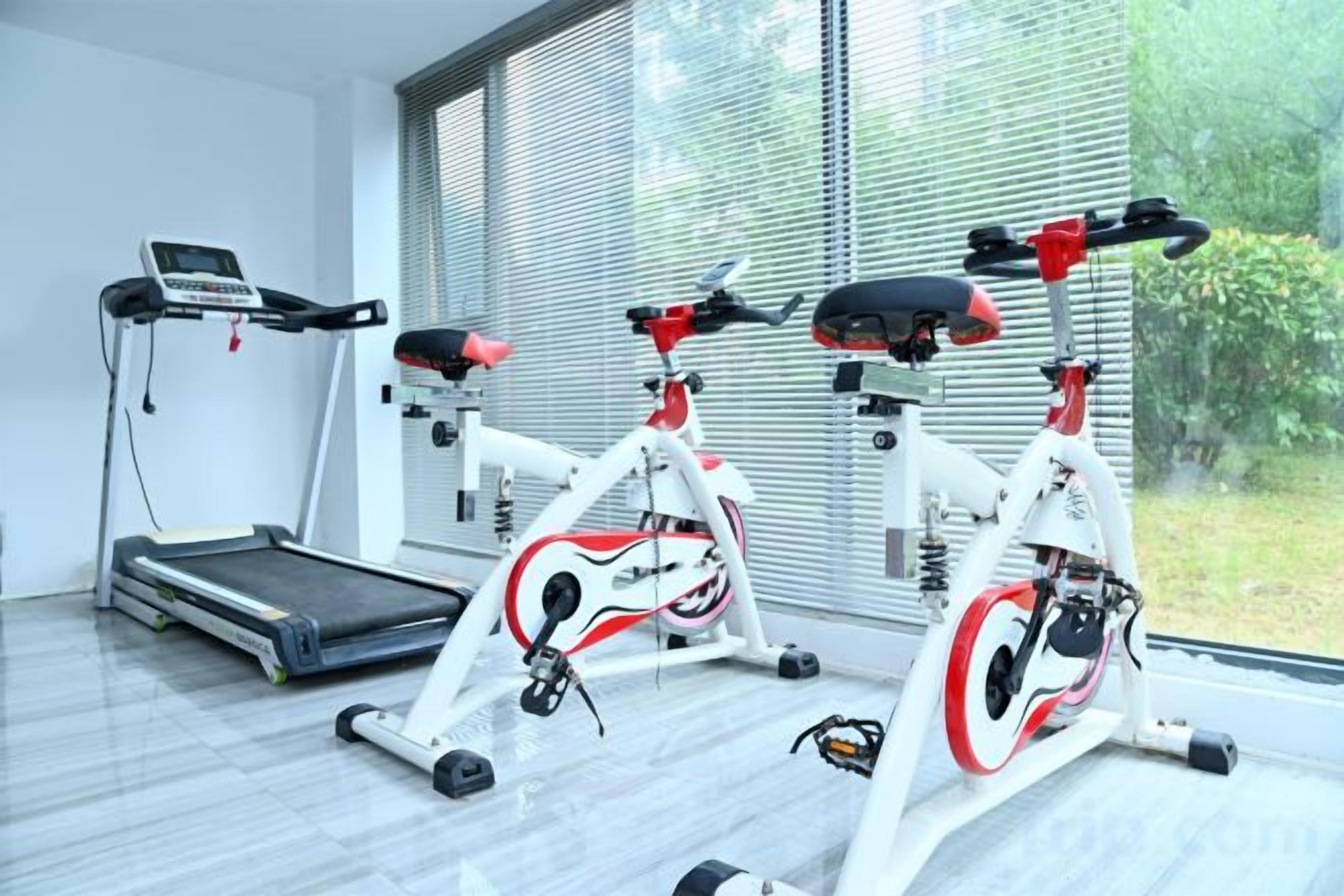 Una palestra in casa con cyclette, tapis roulant e vogatore.