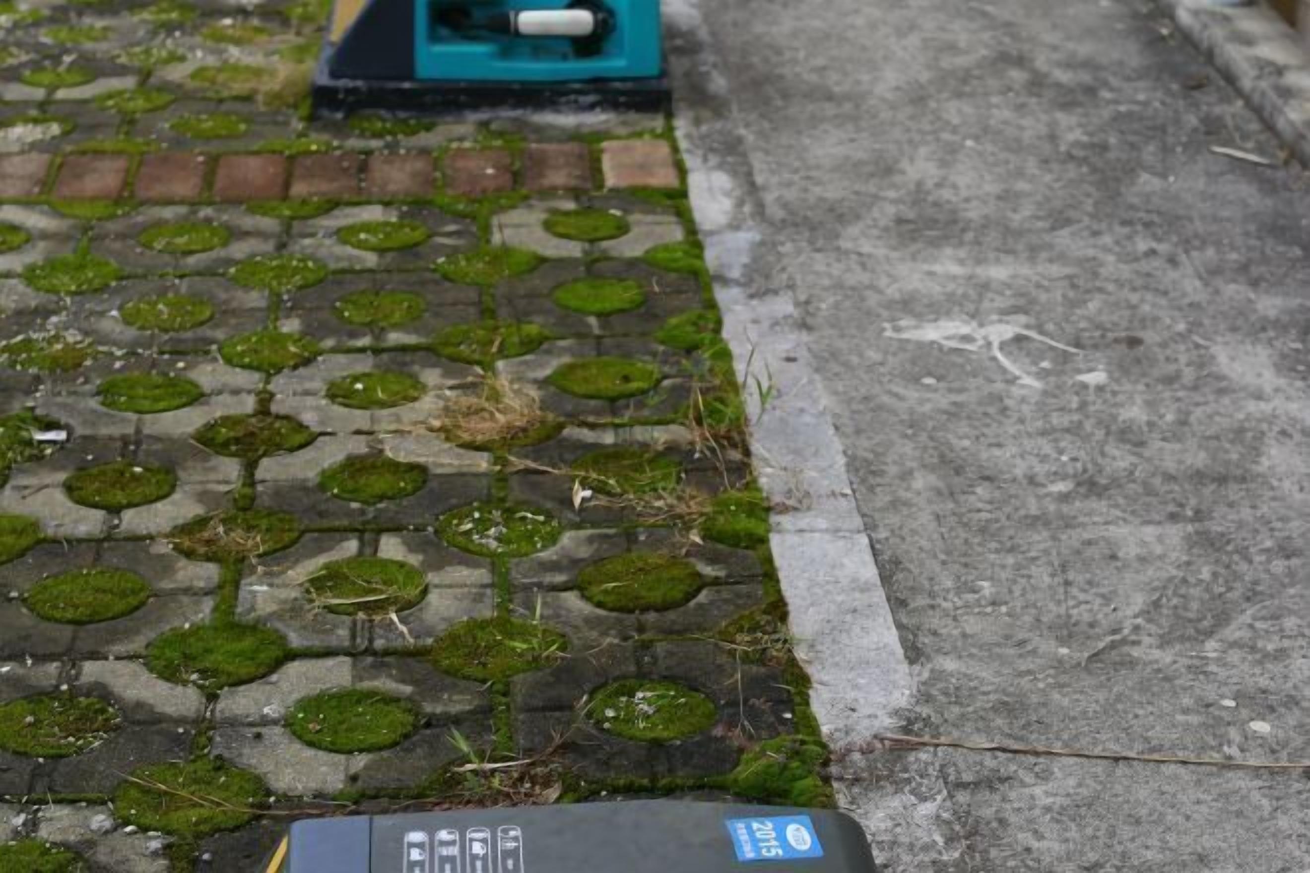 Ein Abschnitt einer gepflasterten Fläche mit moosbewachsenem Belag und einem schwarzen Objekt mit blauem Etikett.