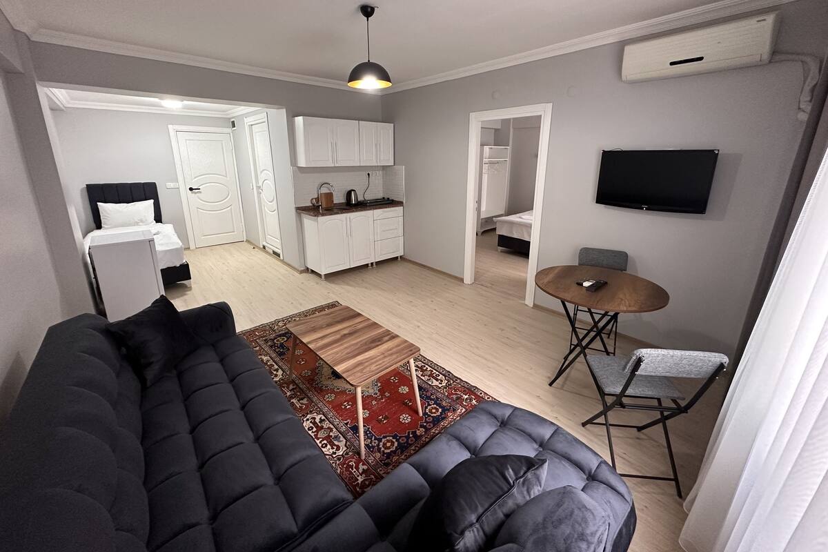 A modern apartment with a living room, kitchen, and dining area.