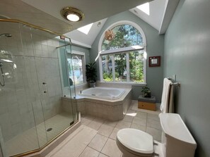 Shower, hair dryer